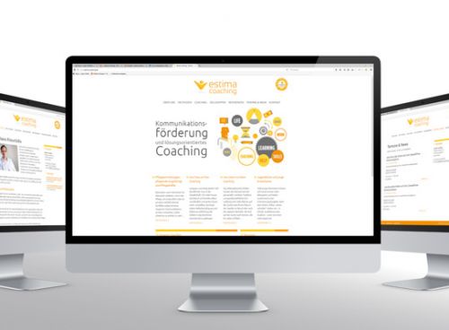 Gelungene Online-Präsentation des Coaching-Paares
