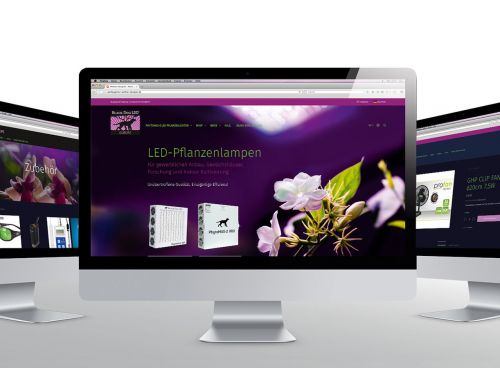 Onlineshop auf Basis von WordPress und WooCommerce