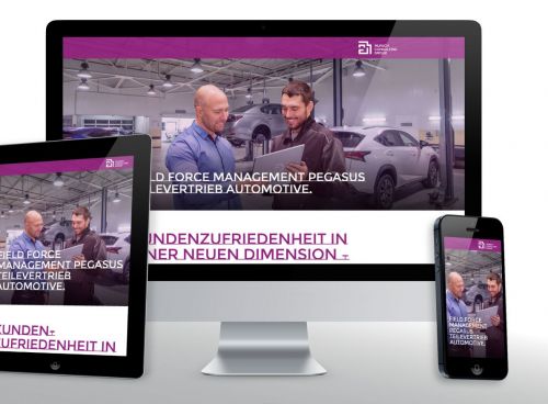 Website zum Vertriebs-Management PEGASUS