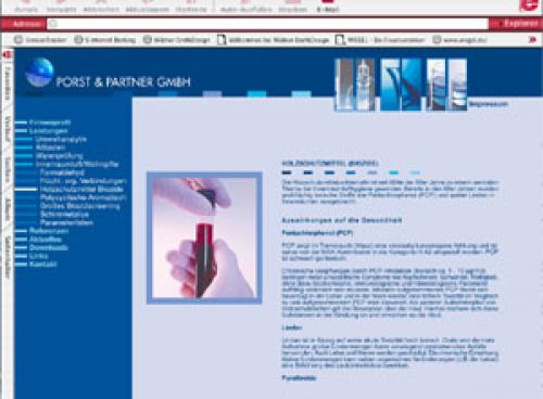 Pagedesign Entwürfe für die Website