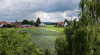 Bild Nr. 15