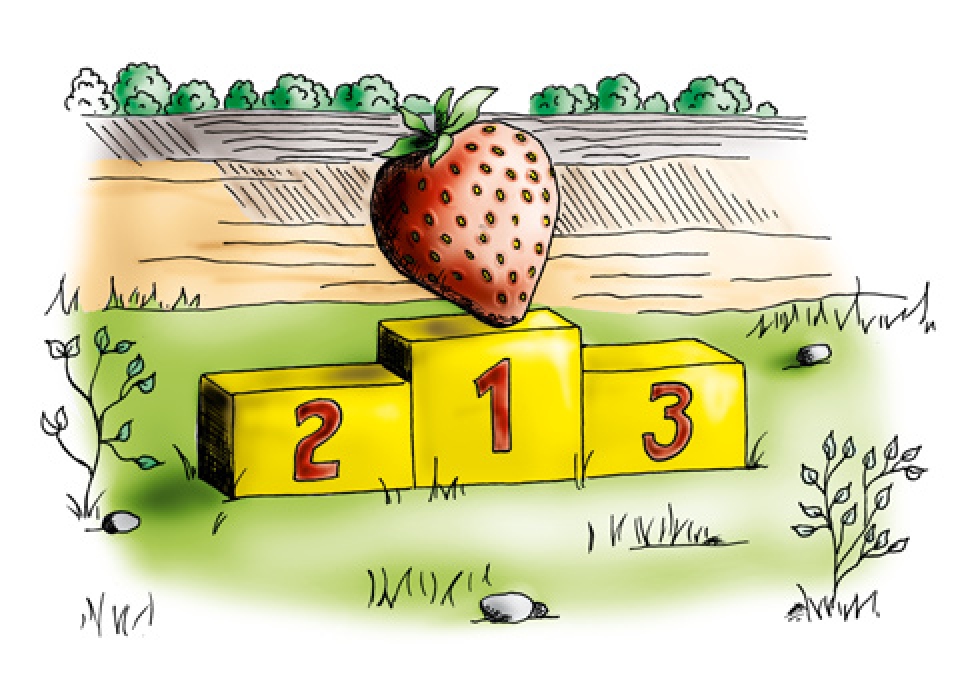 Mit erfolgreicher Organisationsentwicklung erfolgreich im Berufsleben