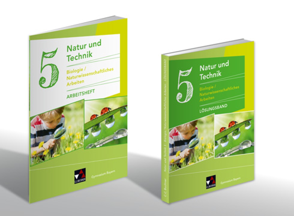 Umschlag zum Arbeitsheft im Format DIN A4 und zum Lösungsband im Format 260 × 195 mm (vorläufiges Design) Umschlag zum Arbeitsheft im Format DIN A4 und zum Lösungsband im Format 260 × 195 mm (vorläufiges Design)