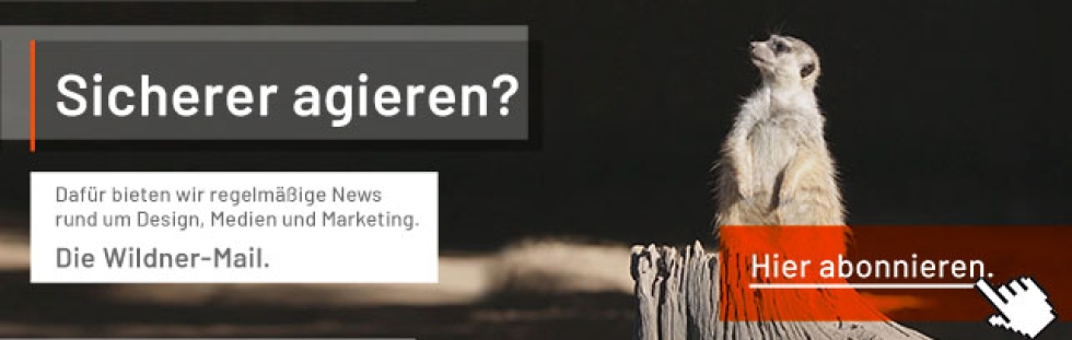 Newsletter Banner Erdmännchen