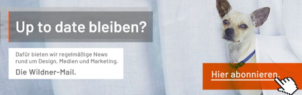 Newsletter Banner Hund