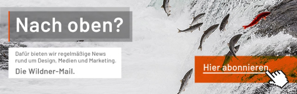 Newsletter Banner Lachse