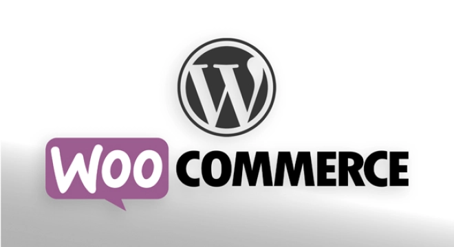 Vollwertige Online-Shops mit WordPress und WooCommerce