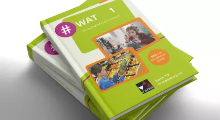 #WAT 1, Lehrbuch Wirtschaft-Arbeit-Technik, BE/BB (82301)