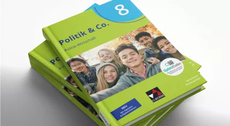 Politik & Co. 8, Lehr­buch für Gym­nasien in Nieder­sachsen (71105)