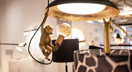 Frische Perspektiven – Showroom wieder ins rechte Licht gerückt