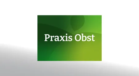 Neues Logo der Praxis für Physio­therapie und Osteopathie