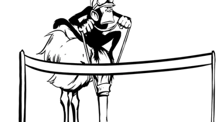 Compensation And Social Benefits Handbook (CASH)