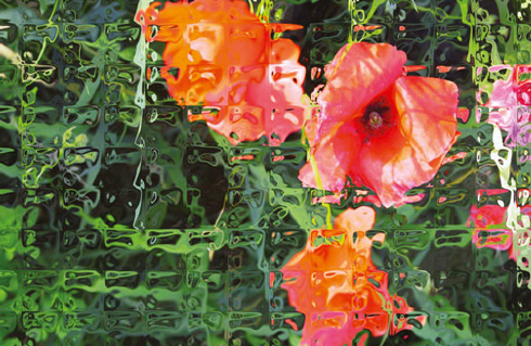 Eine interessante Photoshop-Arbeit aus der Bewerbungsmappe von Maike Eine interessante Photoshop-Arbeit aus der Bewerbungsmappe von Maike