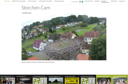 Live-Streaming der Storchen-Cam Live-Streaming der Storchen-Cam