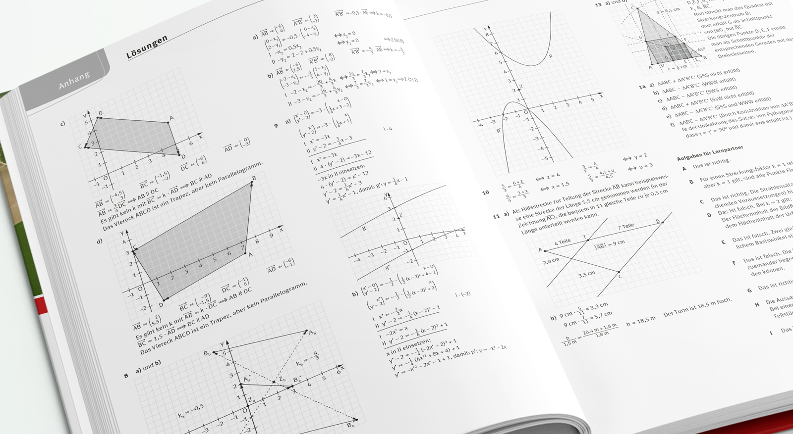 Mathematische Grafiken für einen Lehrerband